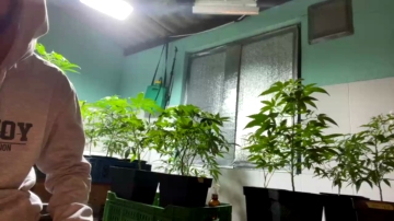 Myvanillakush 11-09-2021 Porn 
